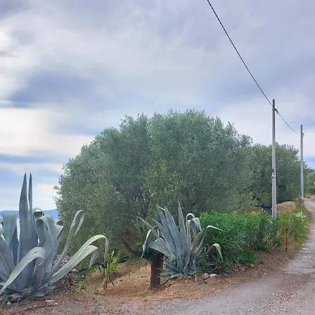 Vallelonga * Ascea