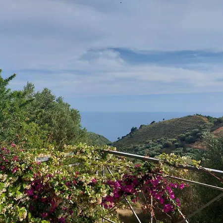 Vallelonga